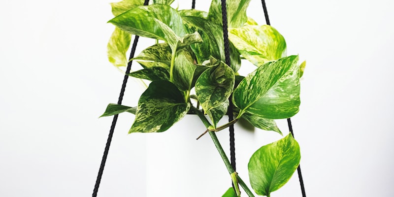 曼城与阿森纳球员在绿茵场上激烈拼抢的战术分析示意图